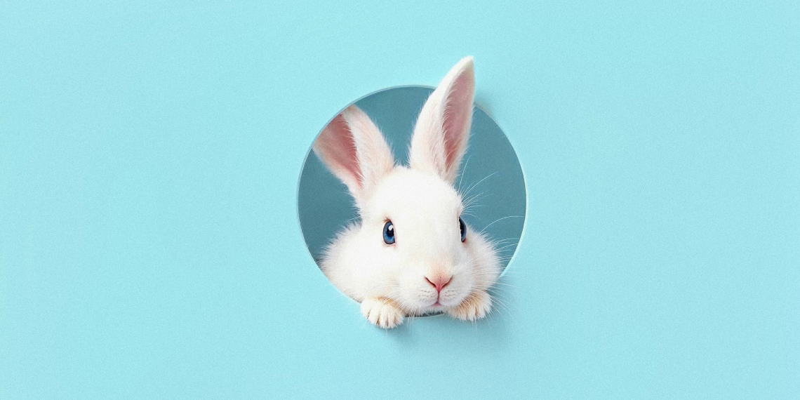 Vegan ve Cruelty-Free Nedir?