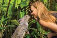 Doğada bir tavşan ve bir kadın